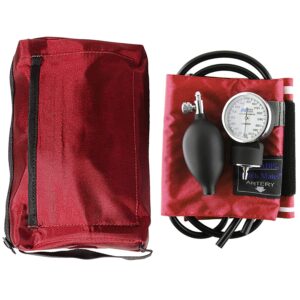 Mabis® MatchMates Aneroid Sphygmomanometer and Stethoscope Blood Pressure Kit, Burgundy